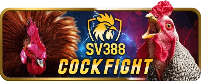 Dịch vụ chăm sóc khách hàng 24/7 của dabet chính thức
